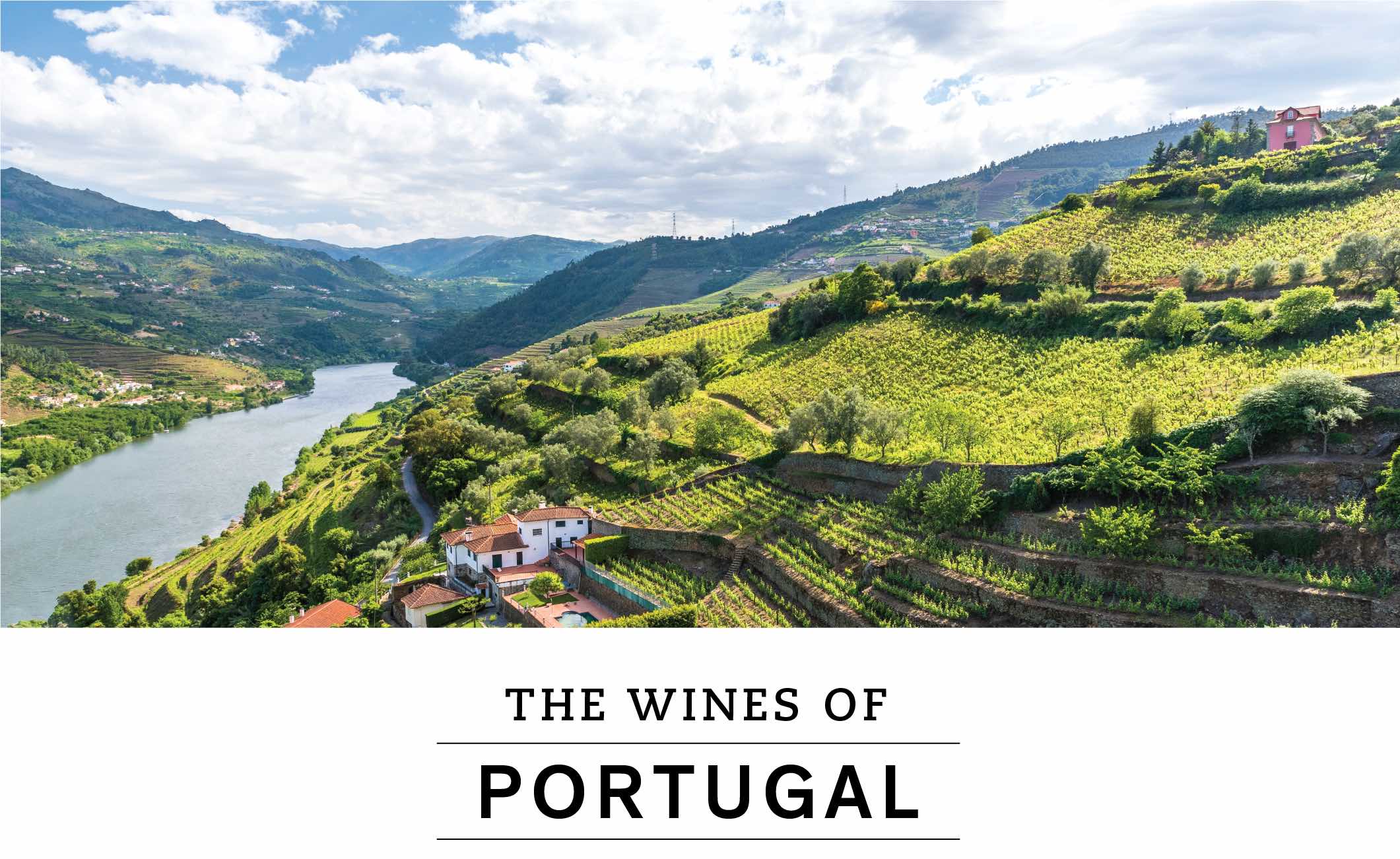 Vintages Portugal Wines Basics